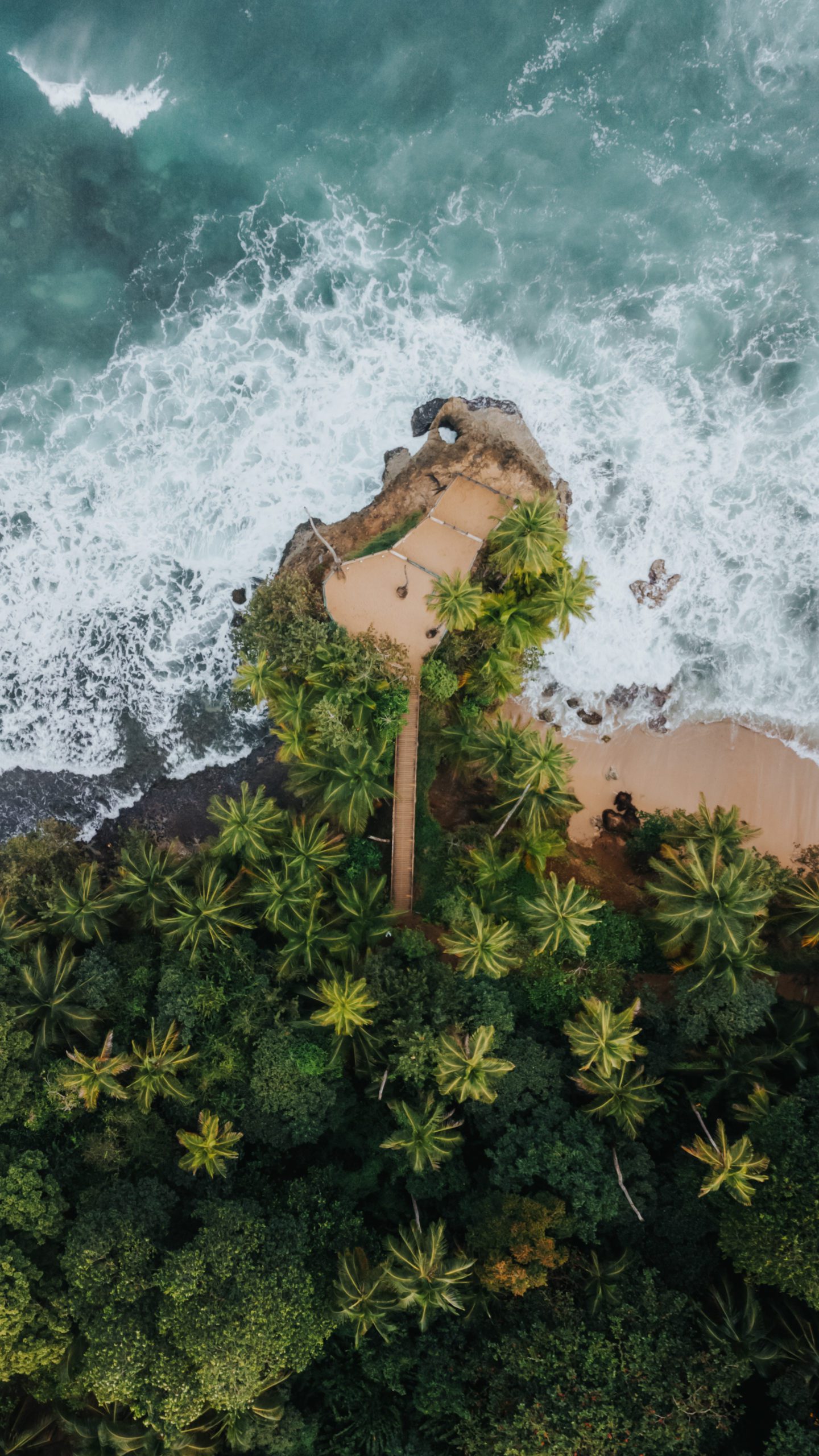 An aerial image of a pathway leading towards the ocean inin Costa Rica